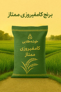 برنج کامفیروزی ممتاز با ضمانت مرجویی